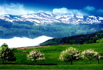 Приватна садиба Калина. Драгобрат