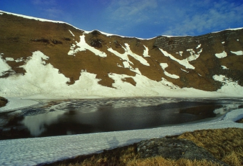 Приватна садиба Калина. Драгобрат