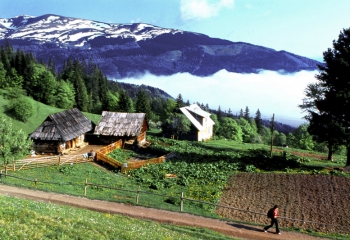 Приватна садиба Калина. Драгобрат