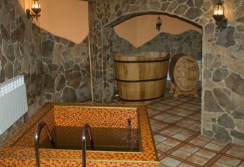 Приватна садиба У Степана. Драгобрат