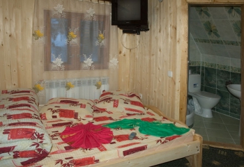 Приватна садиба У Степана. Драгобрат