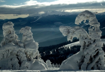 Фотогалерея Драгобрату